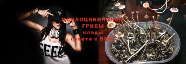 первитин Дмитровск