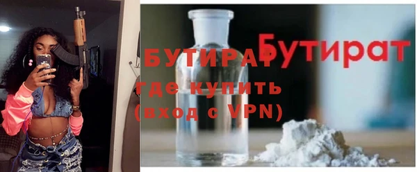 тгк Дмитриев