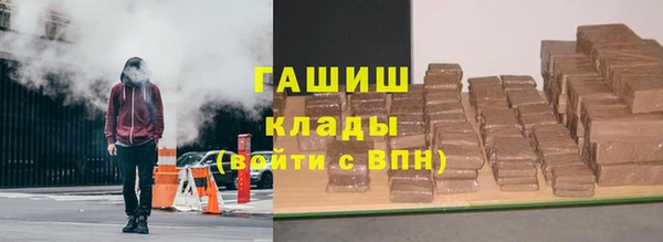 тгк Дмитриев