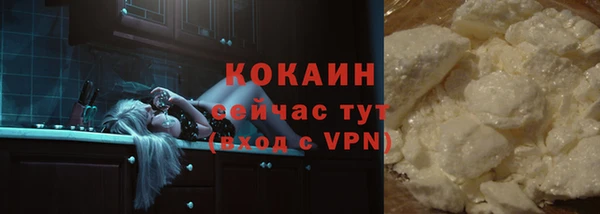 тгк Дмитриев