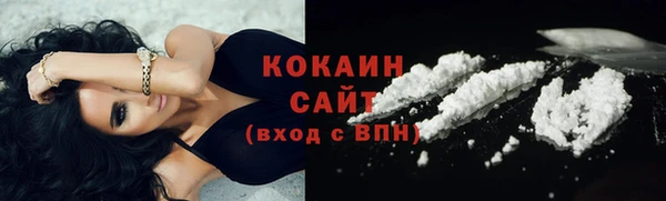 тгк Дмитриев