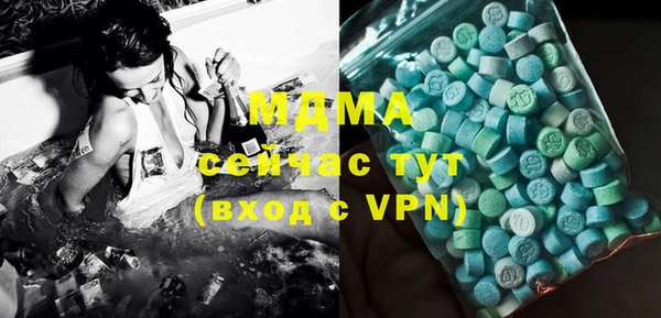 тгк Дмитриев