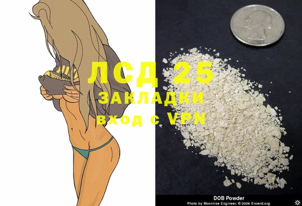 тгк Дмитриев