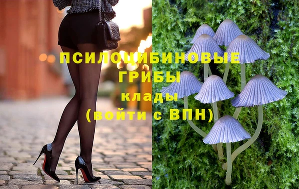 первитин Дмитровск