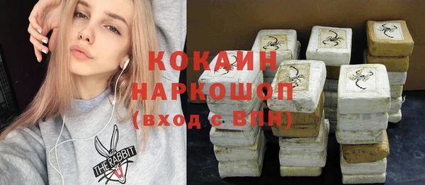 тгк Дмитриев