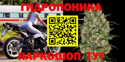 jwh Будённовск