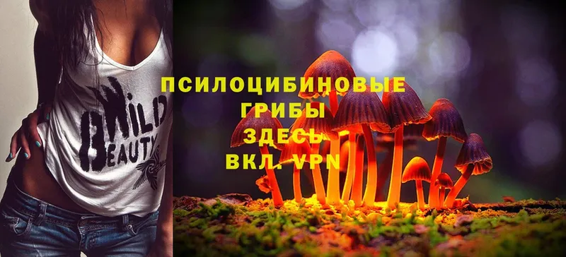 Галлюциногенные грибы Cubensis  Еманжелинск 