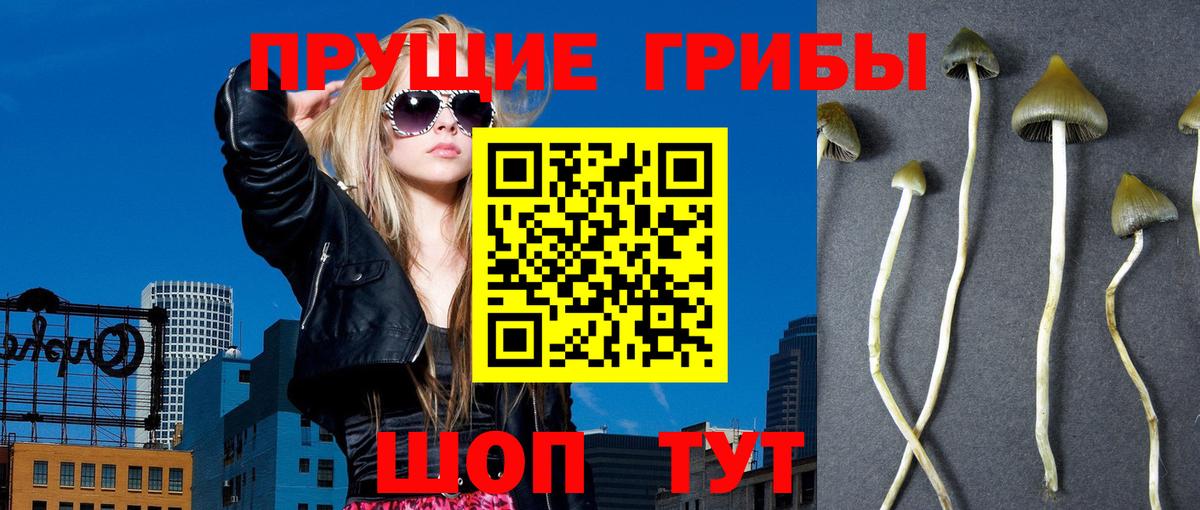 Псилоцибиновые грибы ЛСД  Еманжелинск 